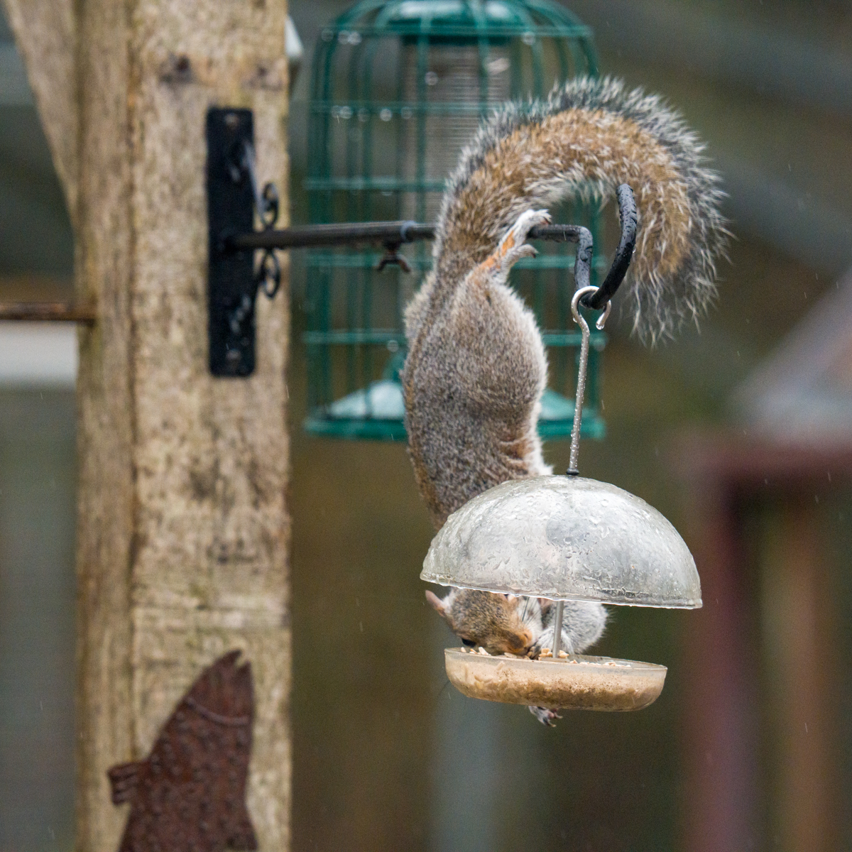 Photography by Chris Allington